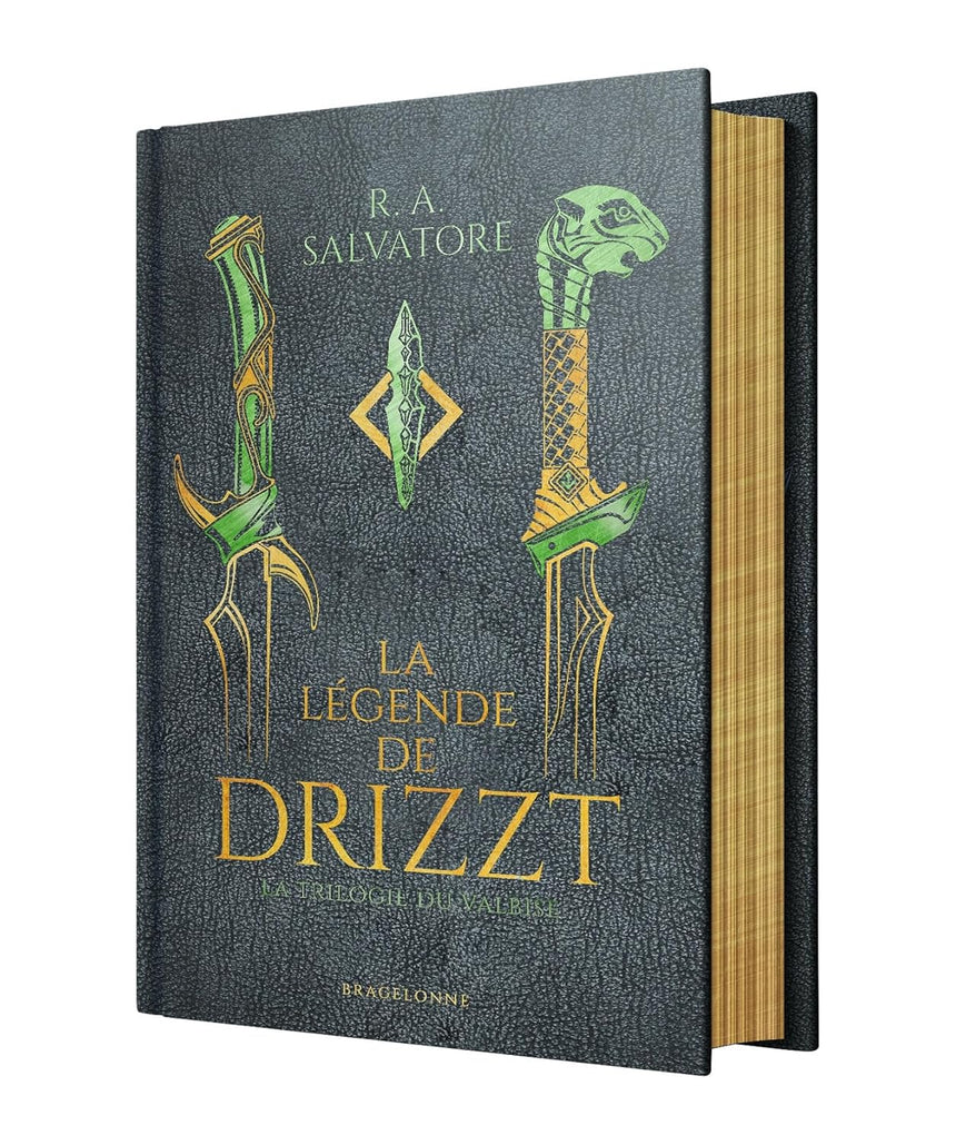 Les Royaumes oubliés : La Légende de Drizzt (Collector)