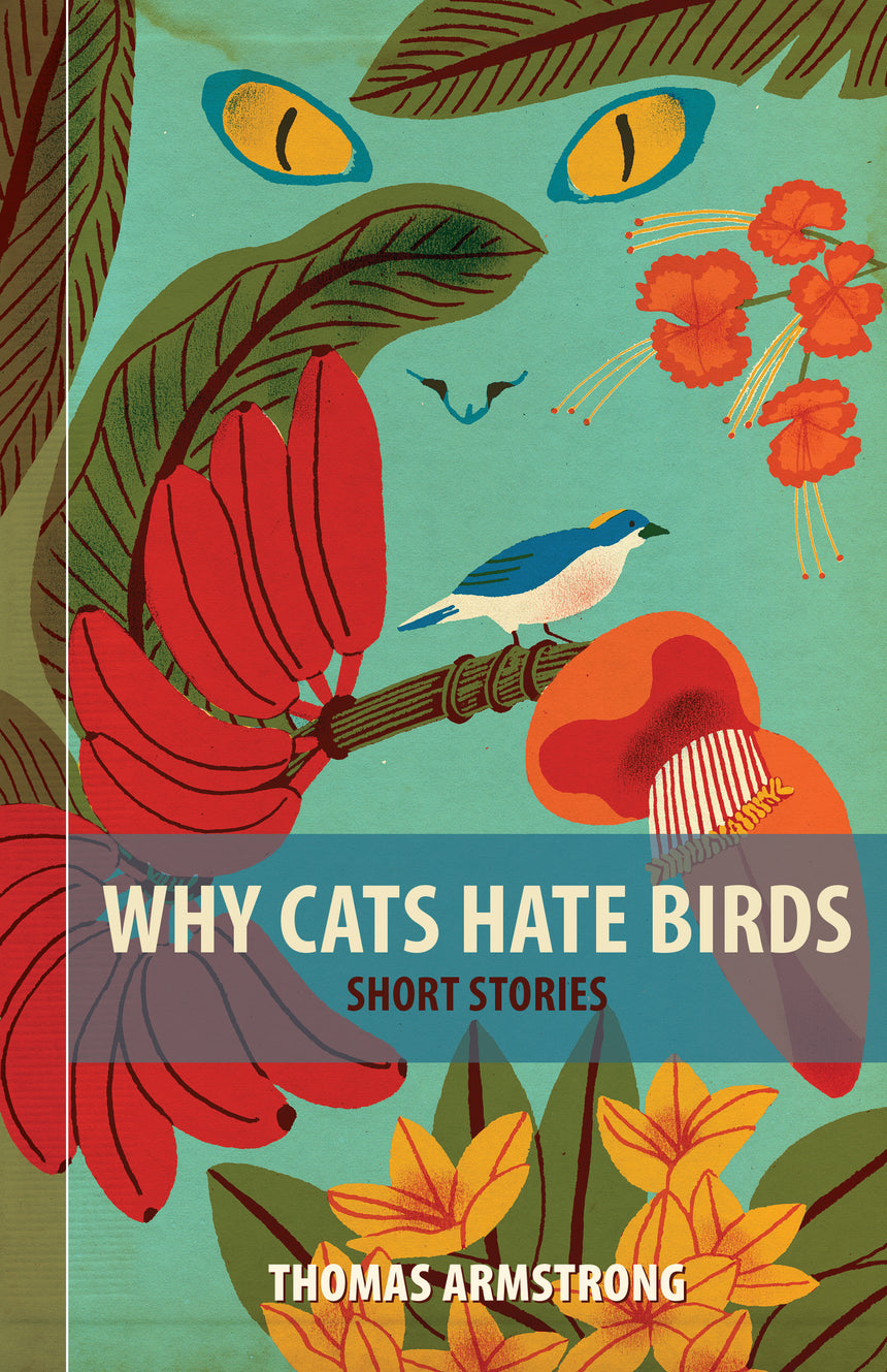 Why Cats Hate Birds
