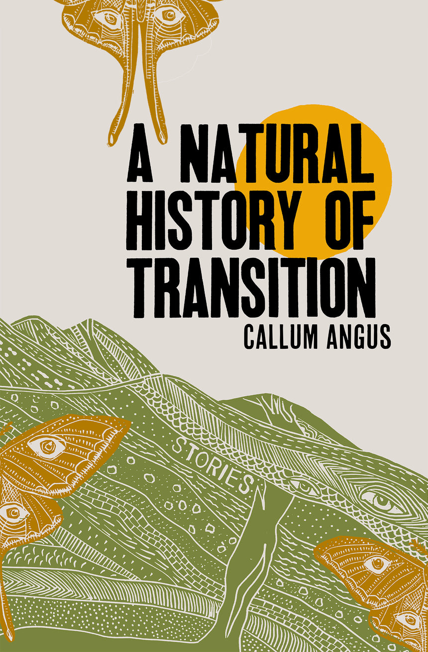 Natural History of Transition, A