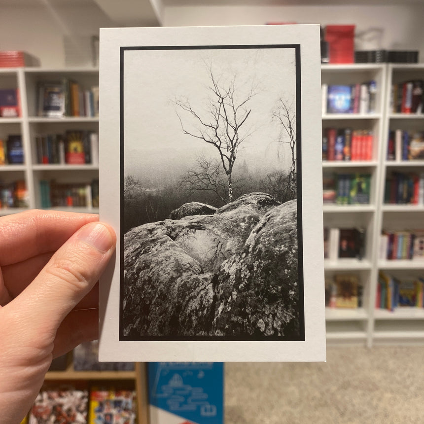 Carte postale | Postcard - Arbres et roches - coll. Brouillard