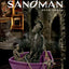 The Sandman (Book 3)