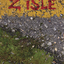 Cycles (Z'isle, book 4)